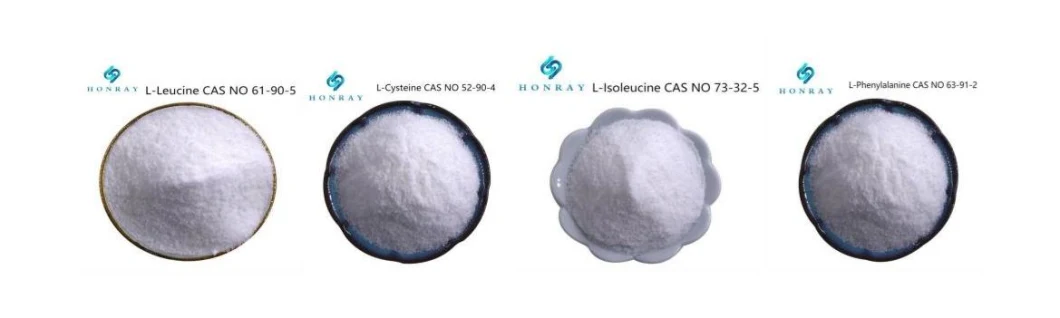 Pharmaceutical and Food Grade 99% Purity Powder Amino Acid CAS 52-90-4 L-Cysteine